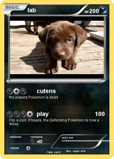 Pokemon lab