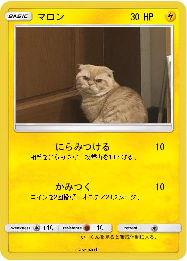 Pokemon マロン
