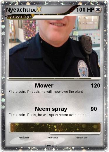 Pokemon Nyeachu