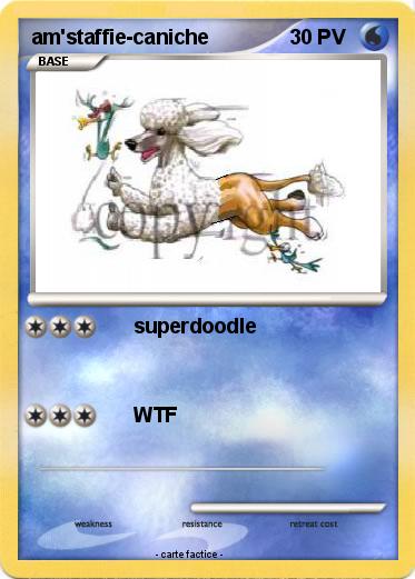 Pokemon am'staffie-caniche