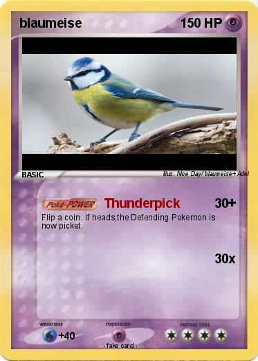 Pokemon blaumeise