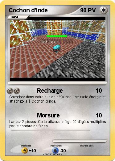 Pokemon Cochon d'inde
