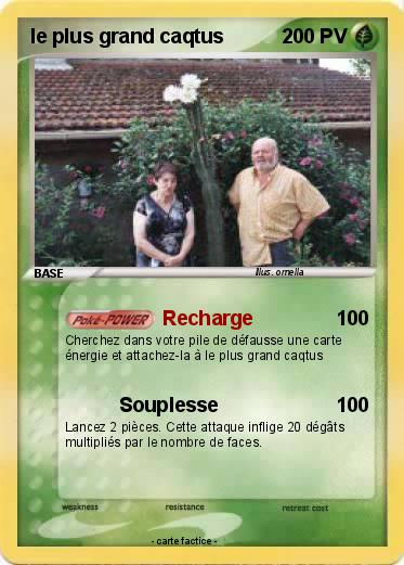 Pokemon le plus grand caqtus