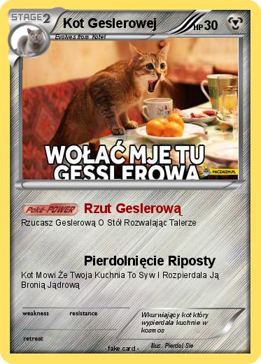 Pokemon Kot Geslerowej