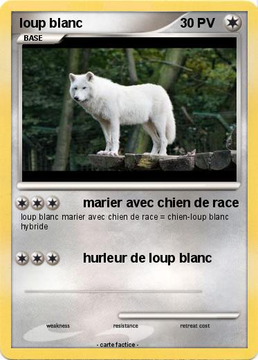 Pokemon loup blanc