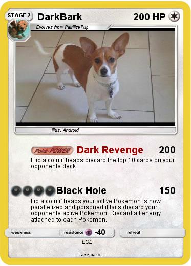 Pokemon DarkBark