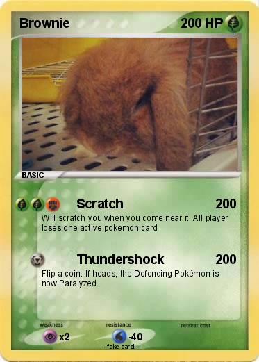 Pokemon Brownie