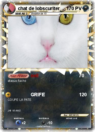 Pokemon chat de lobscuriter