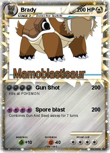 Pokemon Brady