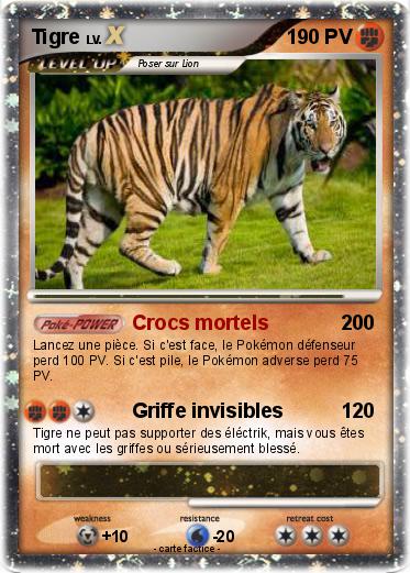 Pokemon Tigre