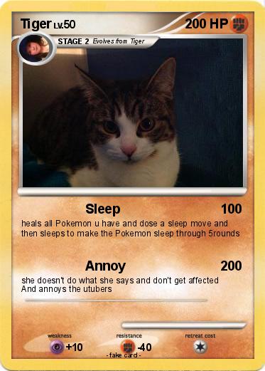 Pokemon Tiger