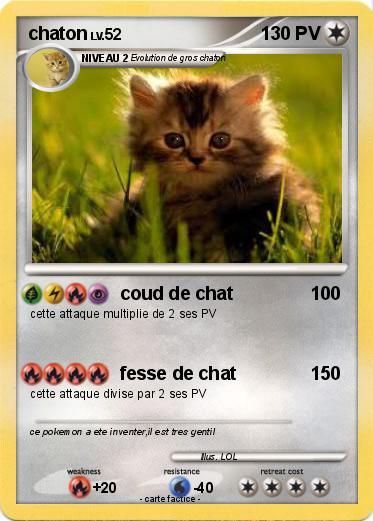 Pokemon chaton