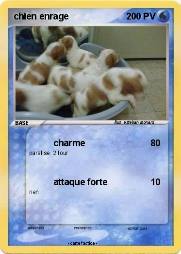Pokemon chien enrage