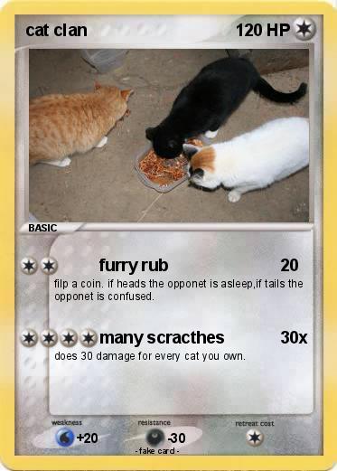 Pokemon cat clan