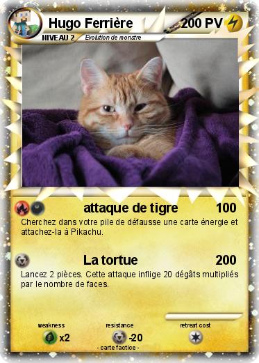 Pokemon Hugo Ferrière