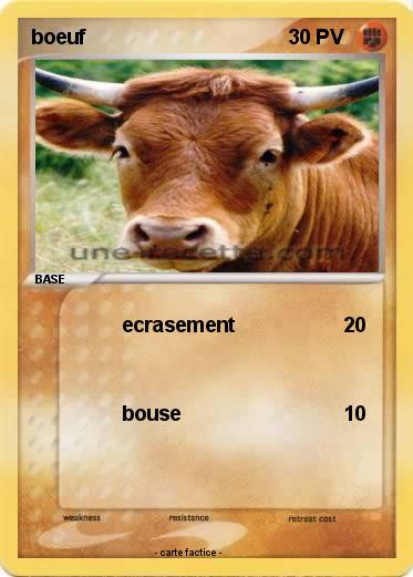 Pokemon boeuf