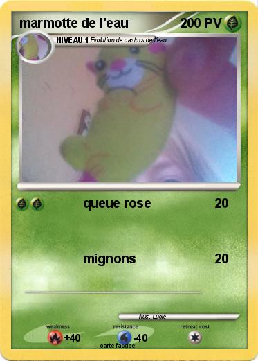 Pokemon marmotte de l'eau