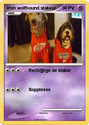 Pokemon irish wolfhound stakeur