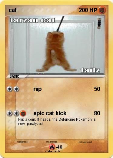 Pokemon cat