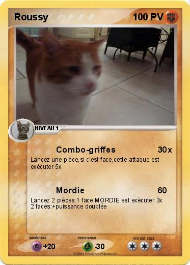 Pokemon Roussy
