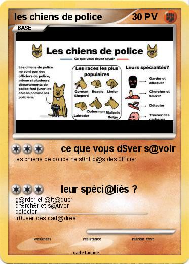 Pokemon les chiens de police