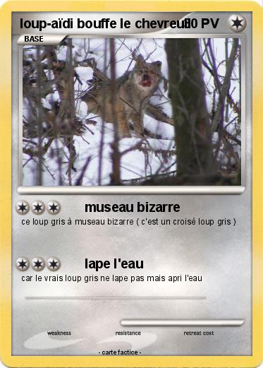 Pokemon loup-aïdi bouffe le chevreuil