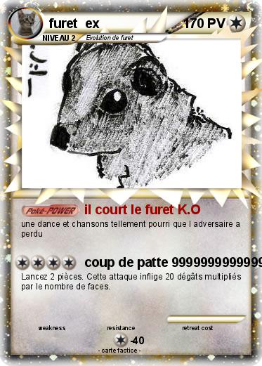 Pokemon furet  ex