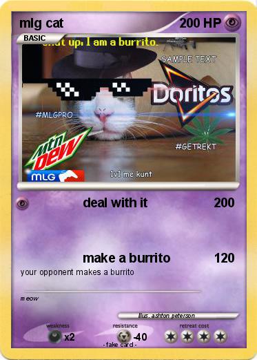 Pokemon mlg cat