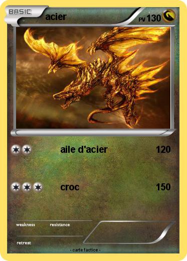 Pokemon acier