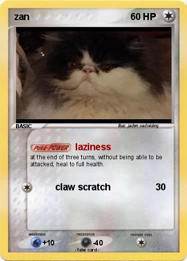 Pokemon zan
