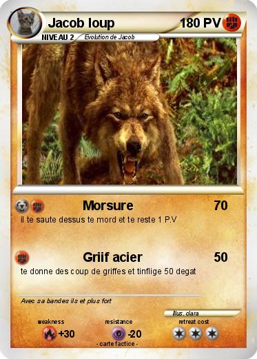 Pokemon Jacob loup