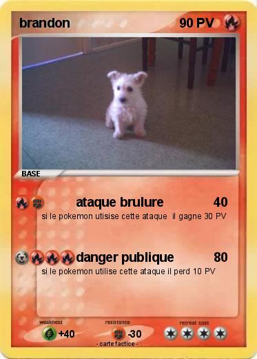 Pokemon brandon