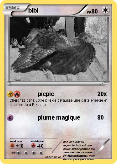 Pokemon bibi