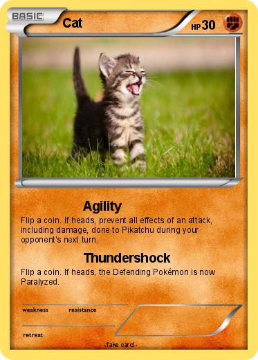 Pokemon Cat
