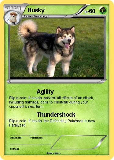 Pokemon Husky