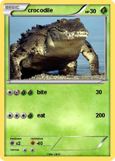 Pokemon crocodile