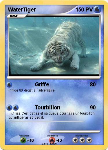 Pokemon WaterTiger