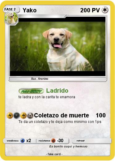 Pokemon Yako