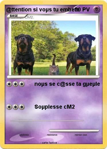 Pokemon @ttention si voµs tu embete