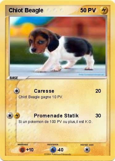Pokemon Chiot Beagle