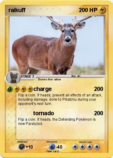 Pokemon raikuff