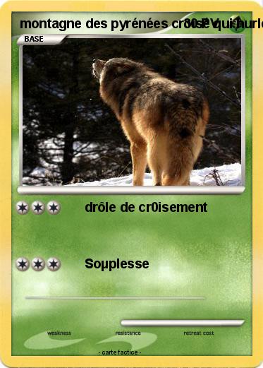 Pokemon montagne des pyrénées croisé qui hurle