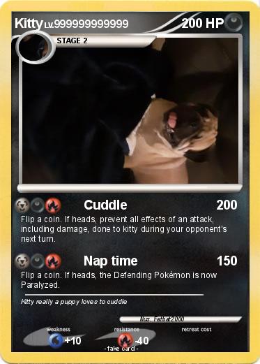 Pokemon Kitty