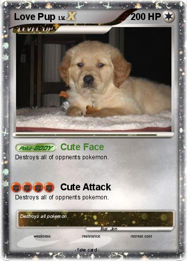 Pokemon Love Pup