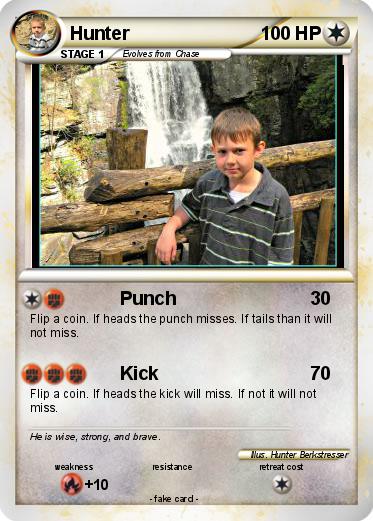 Pokemon Hunter