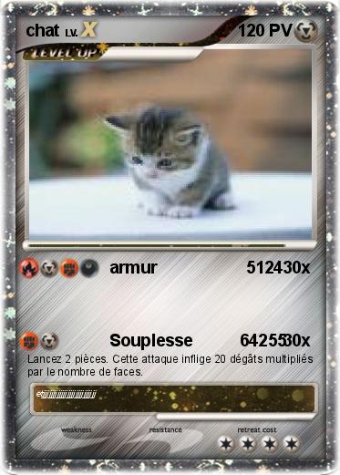 Pokemon chat