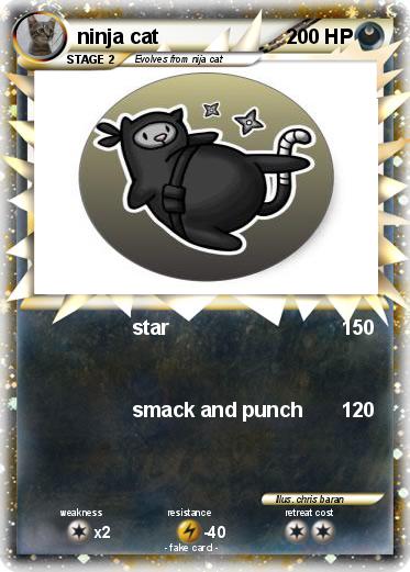 Pokemon ninja cat