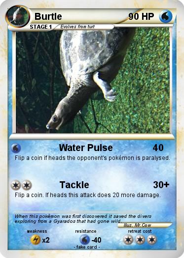 Pokemon Burtle