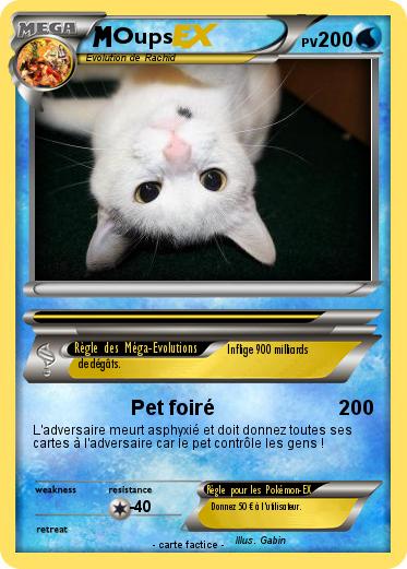 Pokemon Oups