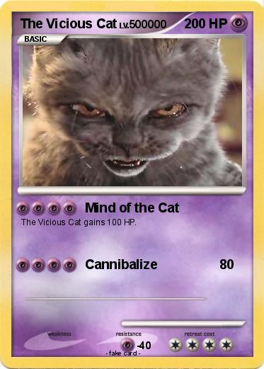Pokemon The Vicious Cat